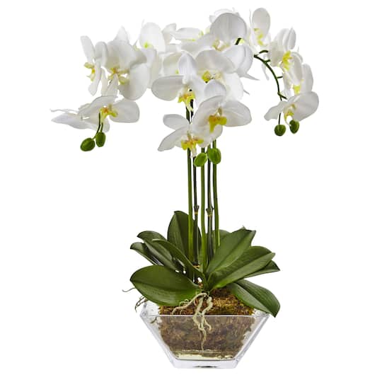 22&#x22; White Triple Orchid in Glass Vase